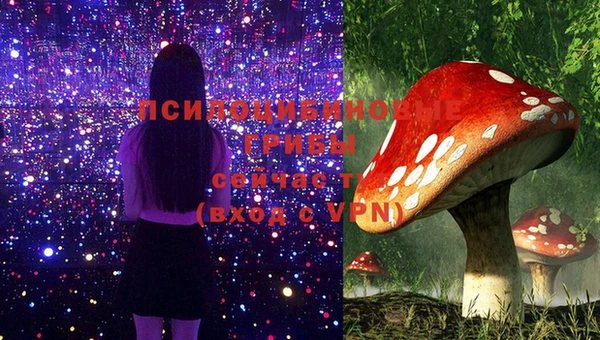 крисы Богородск